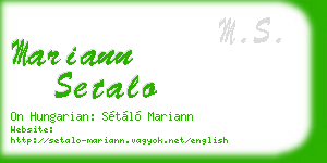 mariann setalo business card